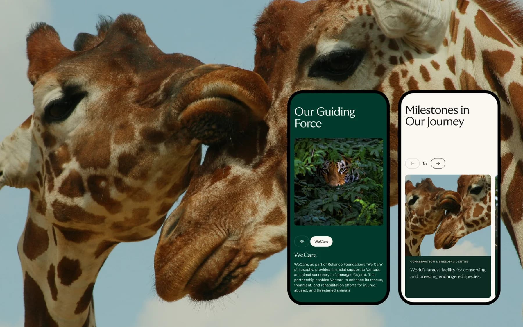 Vantara mobile storytelling screens shown with giraffes